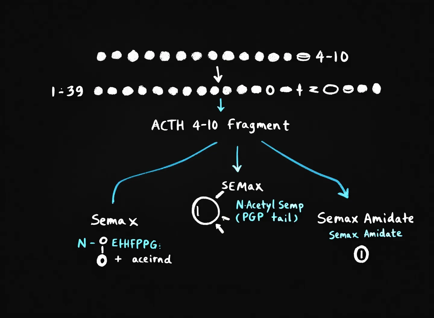 What do N-Acetyl Semax and Semax Amidate mean?